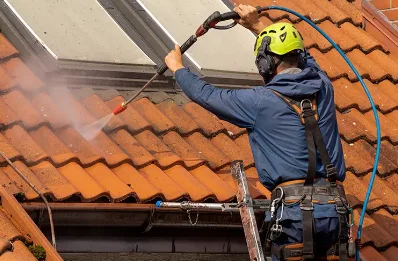 Démoussage et hydrofuge de toiture à Haudiomont